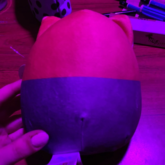 BNWT Teacher Reginald Squishmallow - Picture 3 of 3